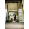 Моющий пылесос KARCHER PUZZI 9/1 BP ADV 1.101-702